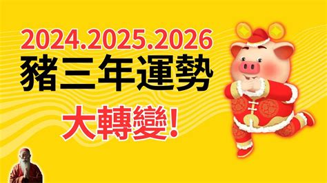 屬豬的幸運色|2024豬年開運色速查